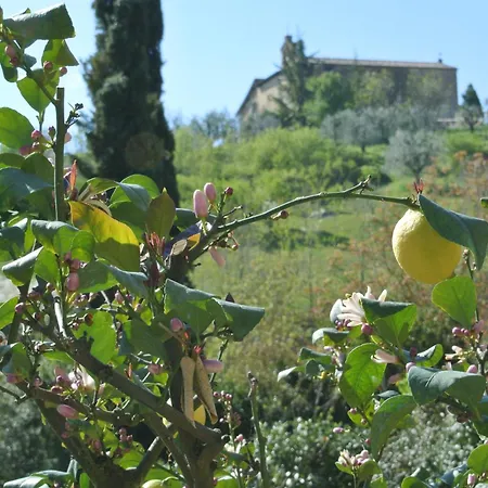 Апартаменты Le Logge Di Caprera